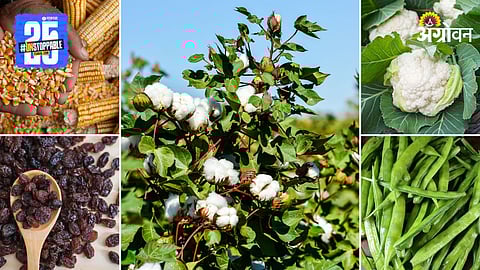 Agriculture Market Products