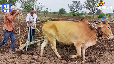 Kharif Sowing