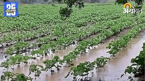 Heavy Rain Marathwada 