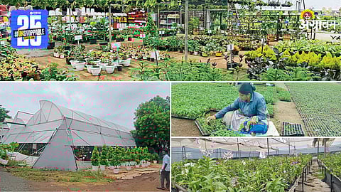 Plant Nursery
