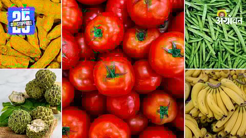 Agriculture Market Products