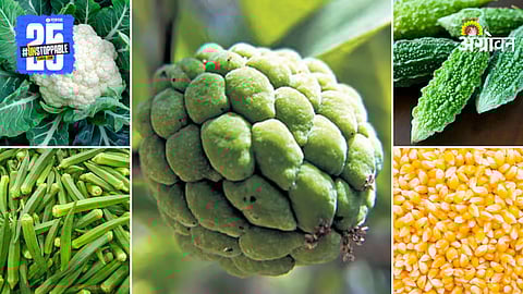 Agriculture Market Products