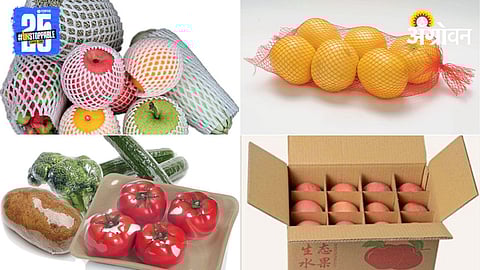 Fruit Packaging