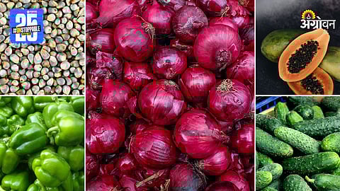 Agriculture Market Products