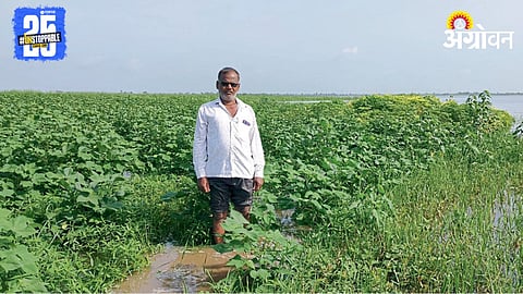 Jayakwadi Dam Backwater