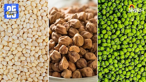 Urad, Chana and Moong
