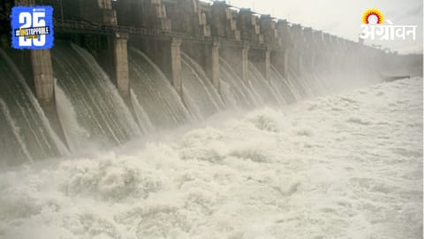 Jayakwadi Dam 