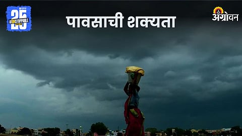 Monsoon Rain