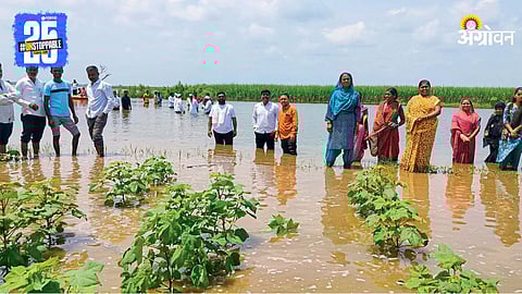 Farmers Protest 