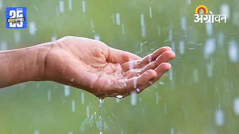 Sangli Rainfall