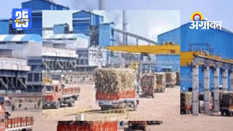 Niphad Sugar Factory