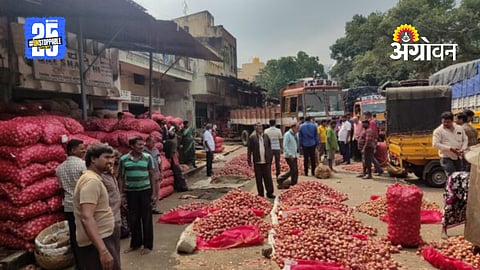 Market Committee
