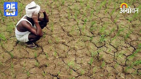 Kharif Crop Crisis
