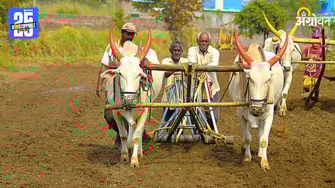 Kharif Sowing:
