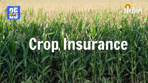 Crop Insurance