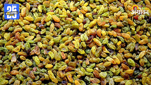 Raisins