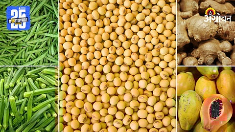 Agriculture Market Products