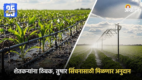 Drip and Sprinkler Irrigation