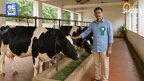 Dairy Farming