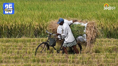 Indian Farmer