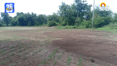 Low Rainfall