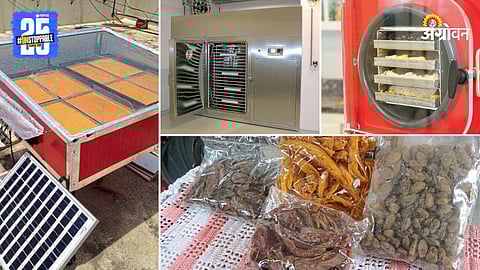 Vegetable Drying Machines