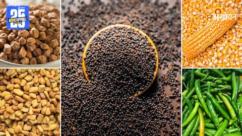 Agriculture Market Products