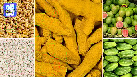 Agriculture Products