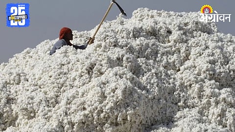 Cotton Farmer India