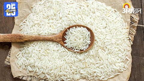 Rice Market India 