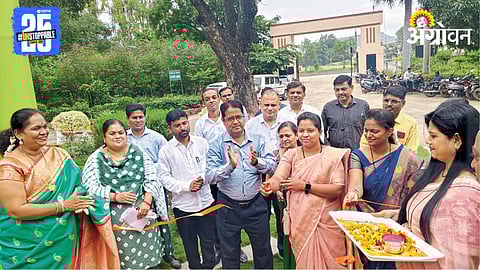 Wild Vegetable Festival