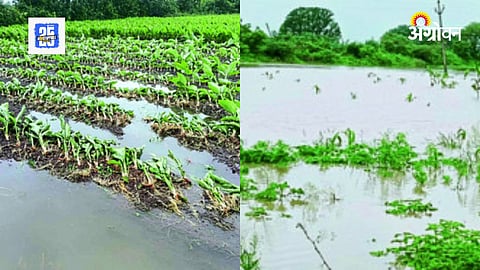 Rain Update Maharashtra 