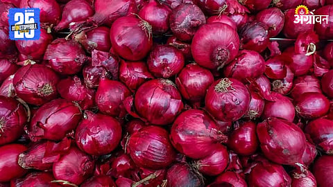 Onion Market