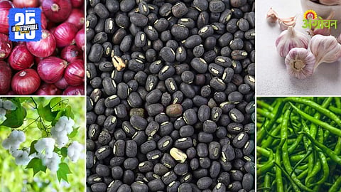 Agriculture Market Products