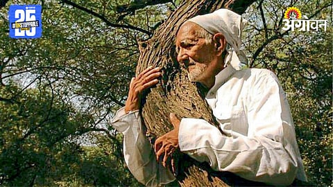 Forest Conservation 