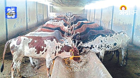 Farmers Protest