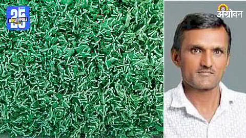 Sridhar Balwantrao Shringare