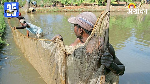 Fish Farming