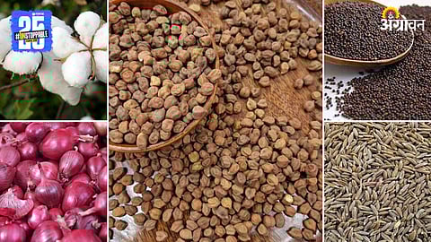 Agriculture Market Products