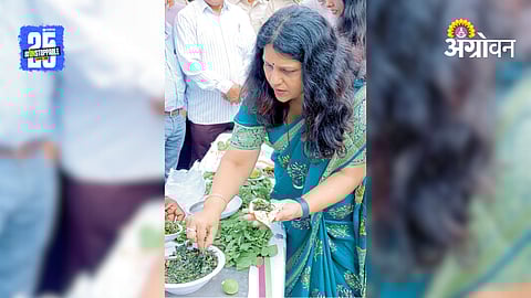 Ranbhaji Festival Maharashtra