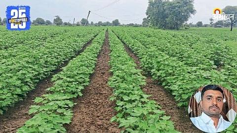 Cotton Farming