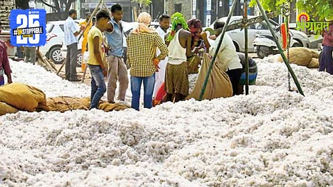 Cotton Market
