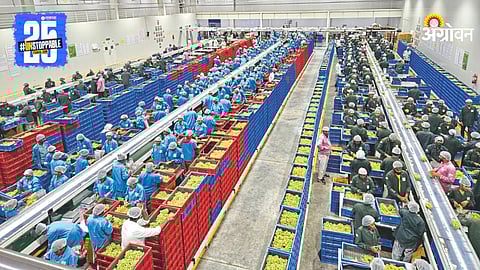 Agriculture Innovation