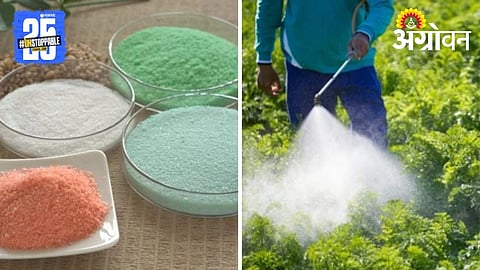 Soluble Fertilzers