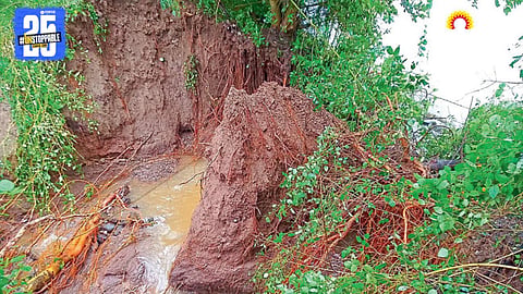 Crop Damage