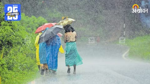 Maharashtra Rain