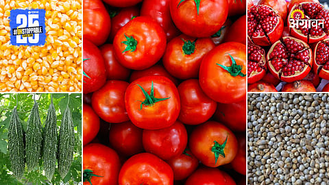 Agriculture Market Products