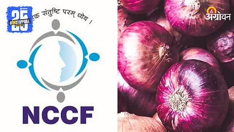 NCCF