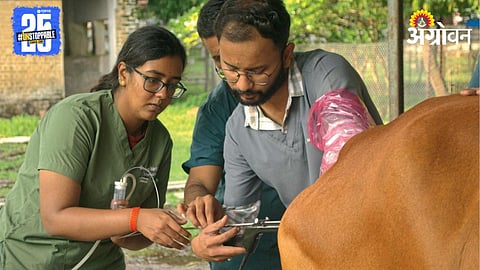 IVF Technology 
