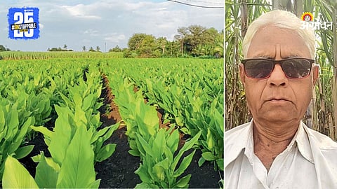 Turmeric Farming